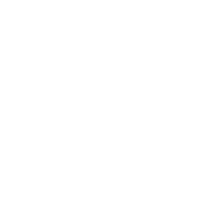 Logo blanc de la société MerMaid Marine basée à Monaco